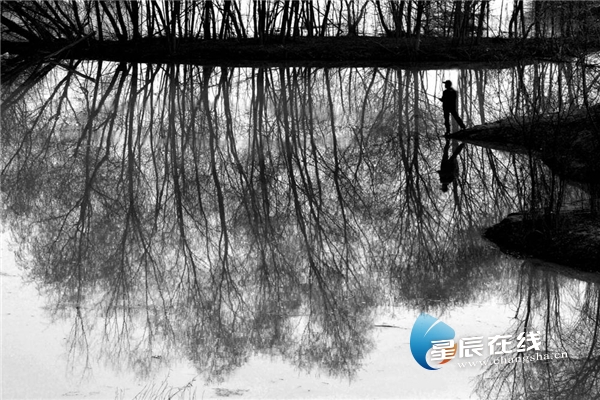 诗话桥丨张群芳:灞桥风雪在,似是故人来 诗话桥丨张群芳:灞桥风雪在,似是故人来